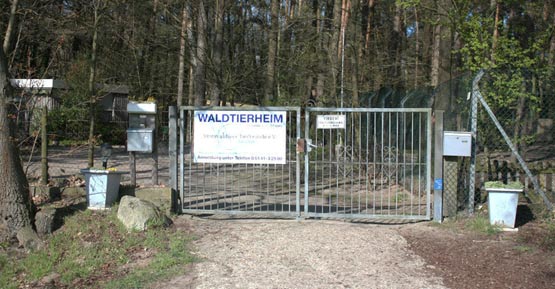 Unser Vorstand Verein aktiver Tierfreunde e.V. aktiver Tierschutz Celle